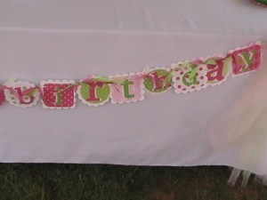 2010-08-07 Adaline's Party Decor 05 PIC_0023