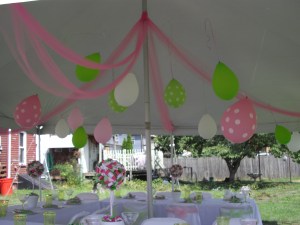 2010-08-07 Adaline's Party Decor 08a IMGP1252