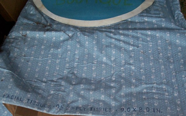 2009-07-19 Kleenex 100_1193a