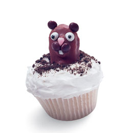 groundhog-day-cupcakes-recipe-photo-260-FF0203ALM1A01