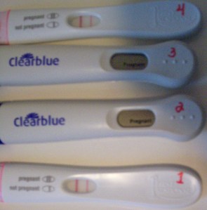 2008-07-05 PregTests 100_5479a