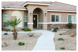 IMG_4588_eggedweb copy