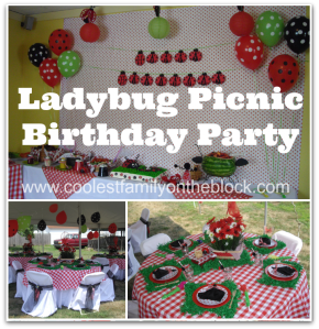 Ladybug Picnic Party