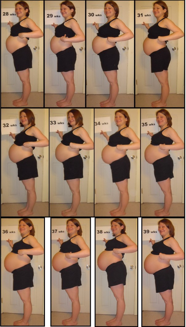 2011-2012 3rd Trimester