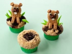 gopherandholecupcakes-456_240x180