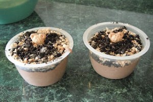 Ground Hog Day Dessert