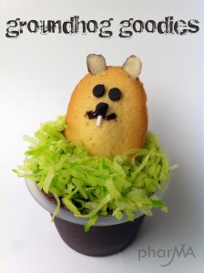 Groundhog.jpg.scaled1000