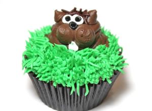 Groundhogcupcake