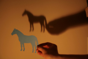 31 5823498471_84bc829954_z