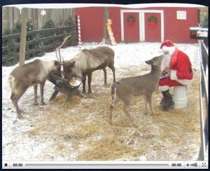 Watch Santa feed his reindeer