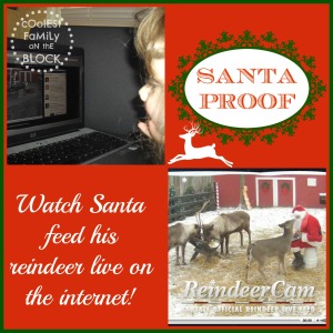Watching Santa feed his reindeer