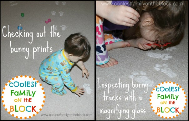 diy Easter bunny paw print trail tradition